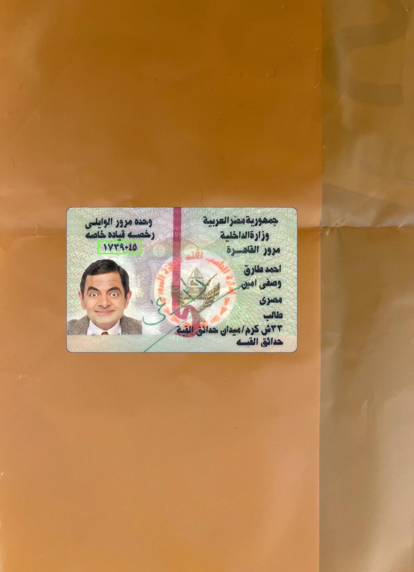 Printable Egypt ID version 2 photolook download for verification
